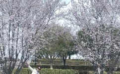 18禁美女把腿扒开让我看视频